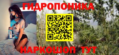 PSILOCYBIN Кингисепп